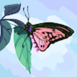 Meet your Posher, Raven